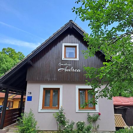 Guesthouse Andrea Poljanak Buitenkant foto